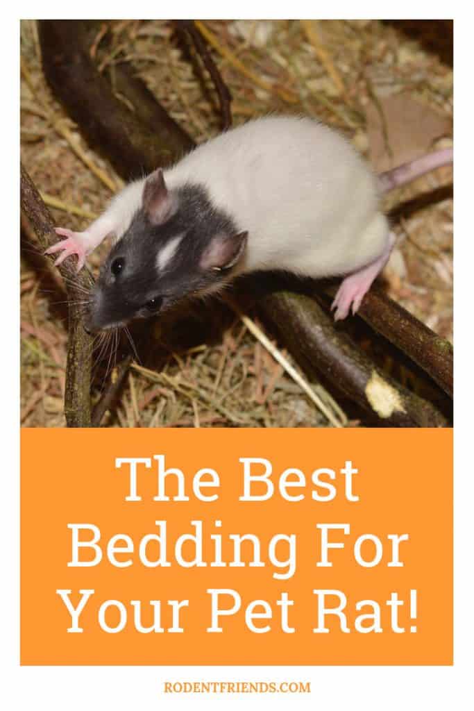 Best bedding for outlet rats