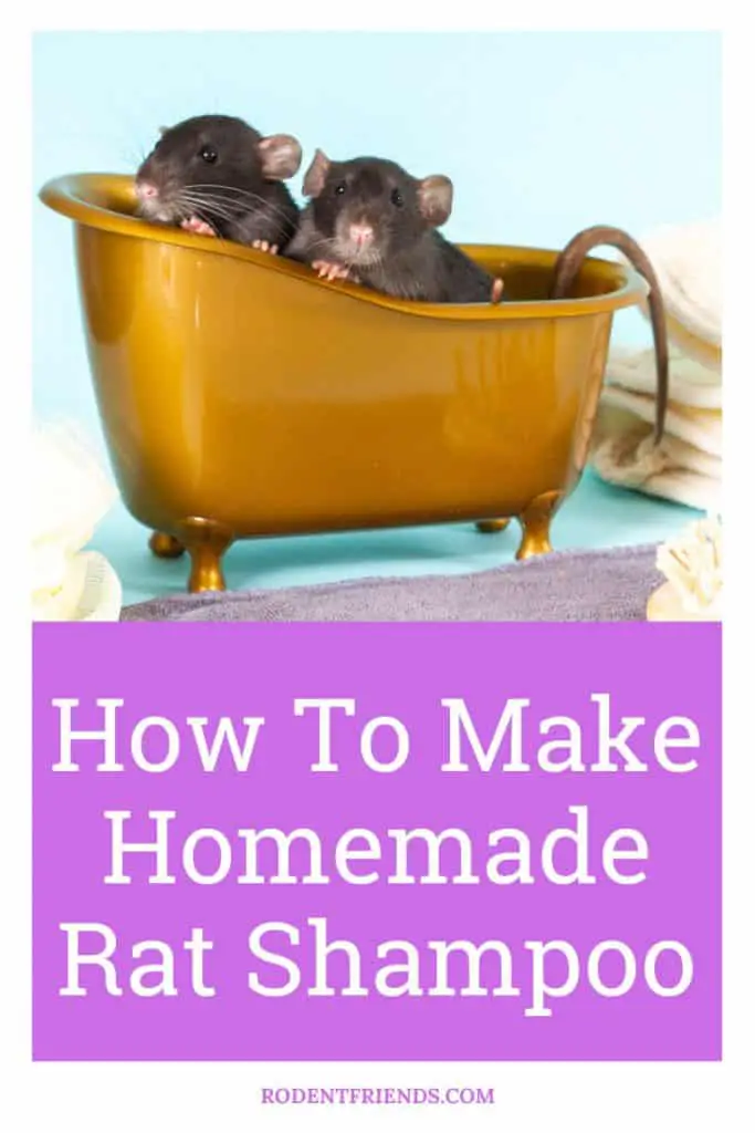 how to make homemade rat shampoo, pinterest cover