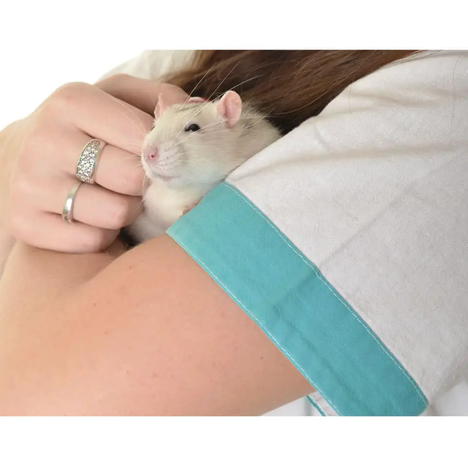 person holding a pet rat